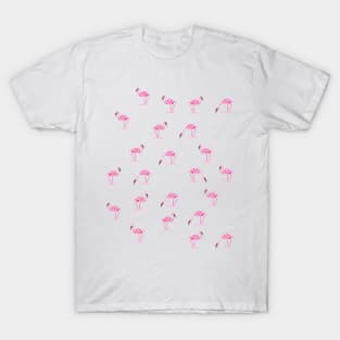 flamingos T-Shirt